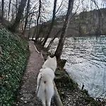 Διαμέρισμα Pure Vista Hank Schwarzwaldblick *