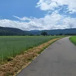 Διαμέρισμα Pure Vista Hank Schwarzwaldblick Laufenburg