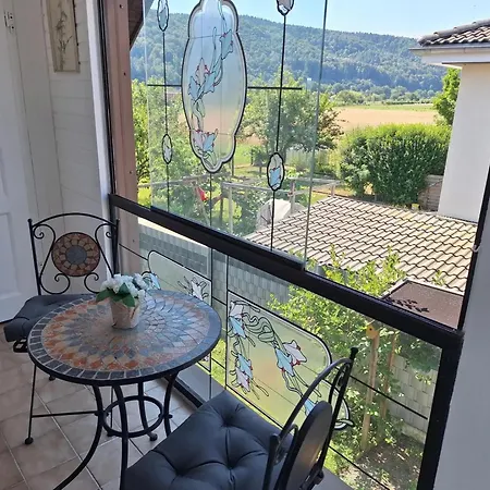 公寓 Pure Vista Hank Schwarzwaldblick 劳芬博格