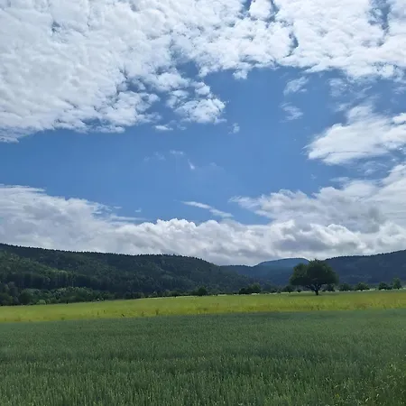 Pure Vista Hank Schwarzwaldblick 公寓 劳芬博格