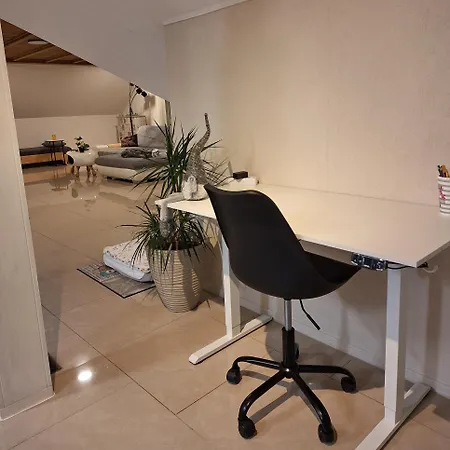 公寓 Pure Vista Hank Schwarzwaldblick