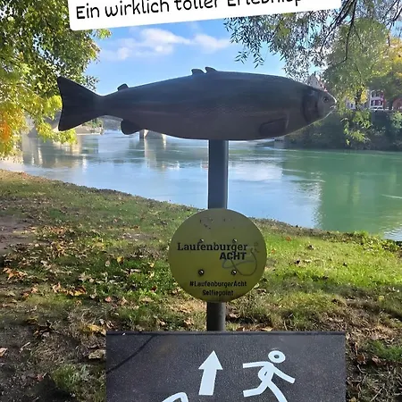 Pure Vista Hank Schwarzwaldblick 라우펜부르크