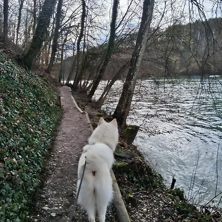 Διαμέρισμα Pure Vista Hank Schwarzwaldblick *