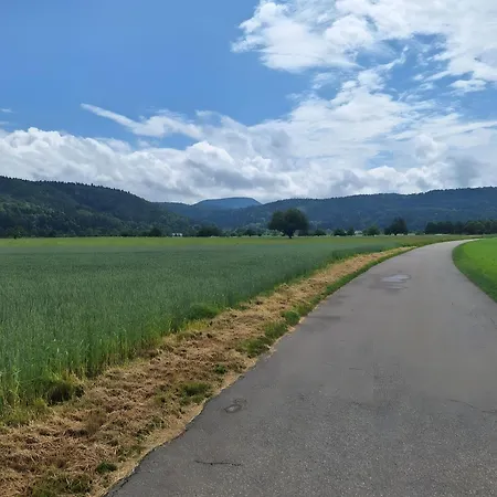 Διαμέρισμα Pure Vista Hank Schwarzwaldblick Laufenburg