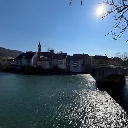 Pure Vista Hank Schwarzwaldblick * Laufenburg