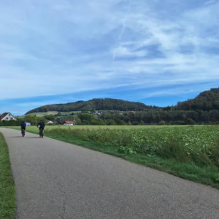 Pure Vista Hank Schwarzwaldblick * Laufenburg